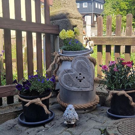 Haus Emma, Im Herzen Der Oberlausitz Kottmar Luaran gambar